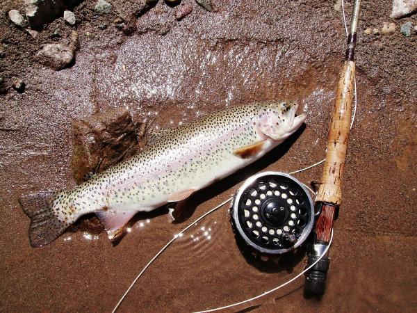 journée pêche à la truite à l'étang de la Galette